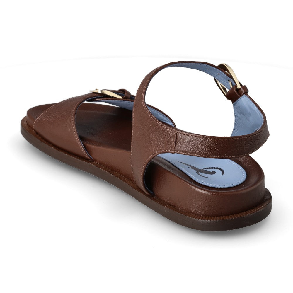 Blue Bird P0385_3_3.jpg