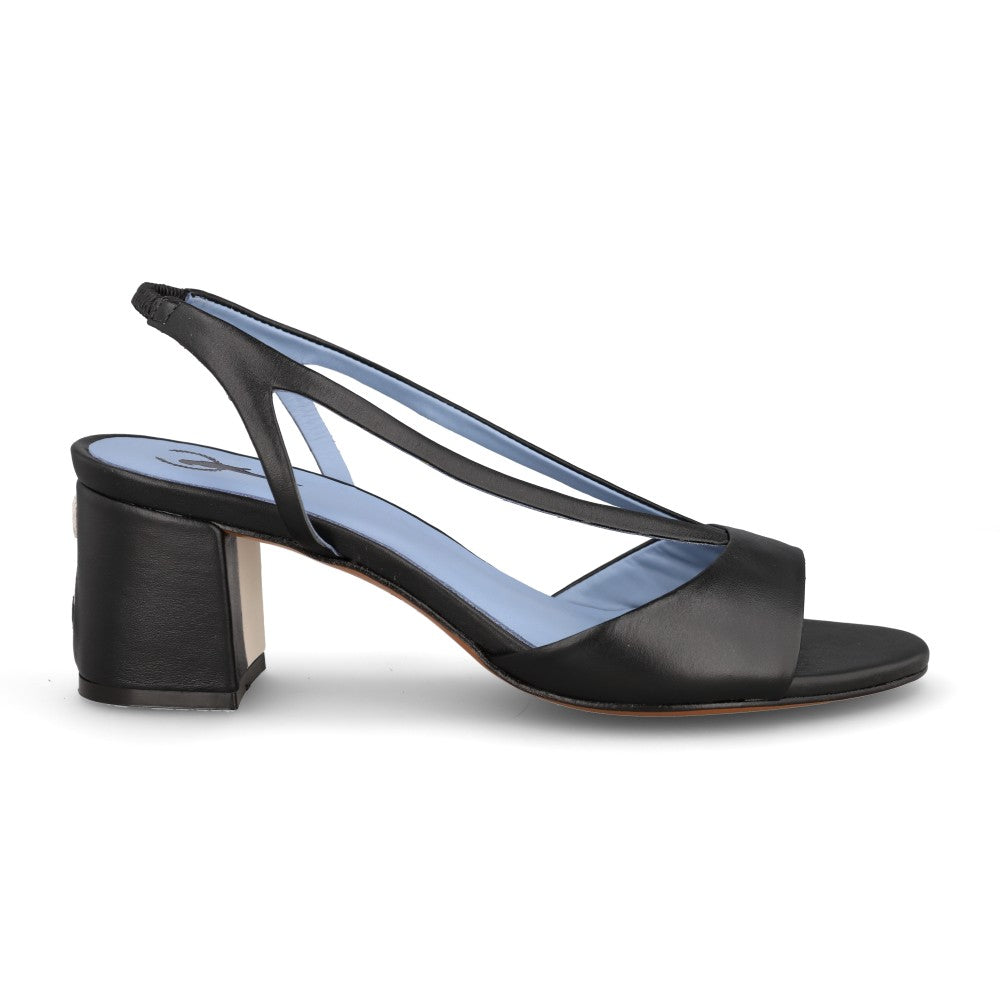 Blue Bird P0385_7_1.jpg