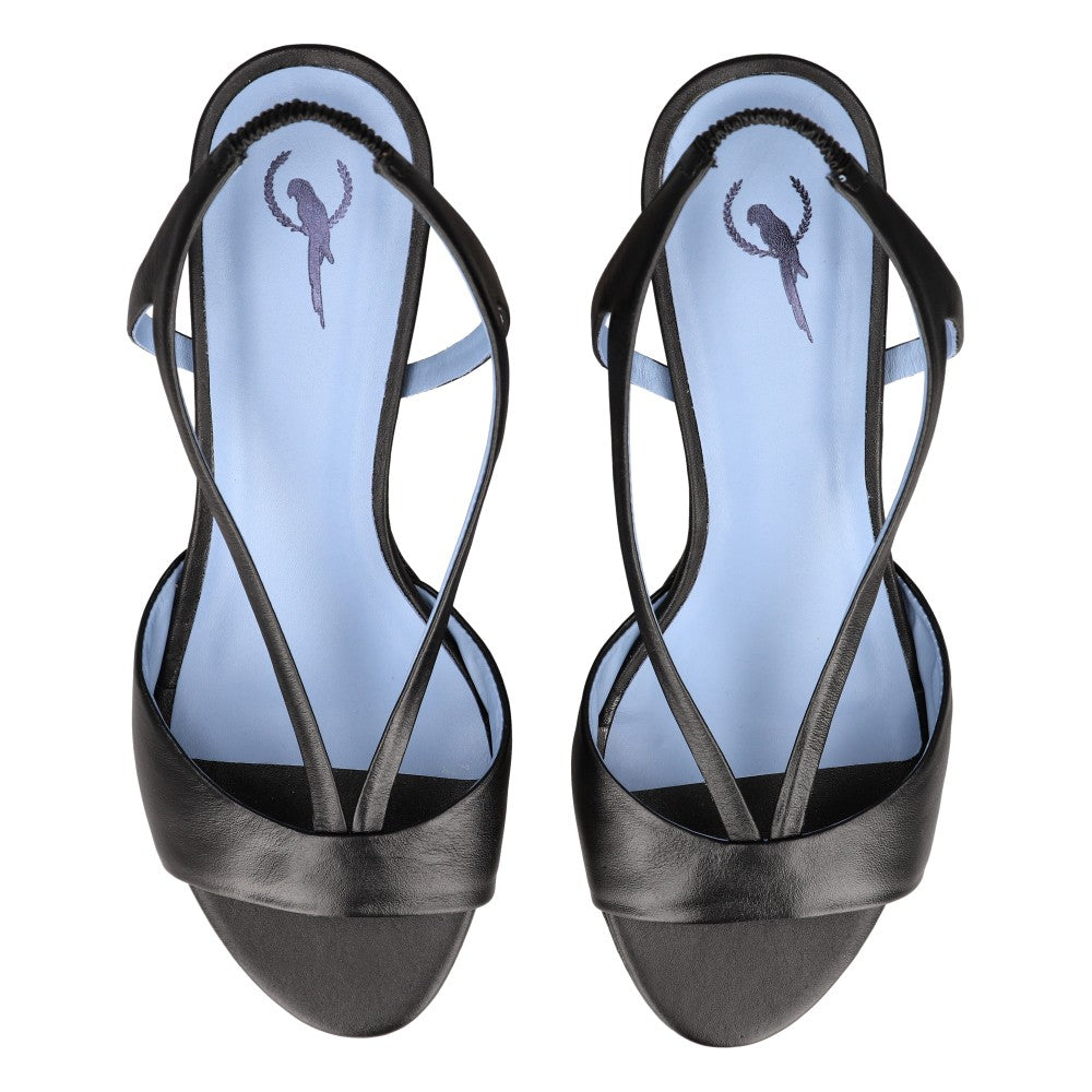 Blue Bird P0385_7_1_vista superior.jpg