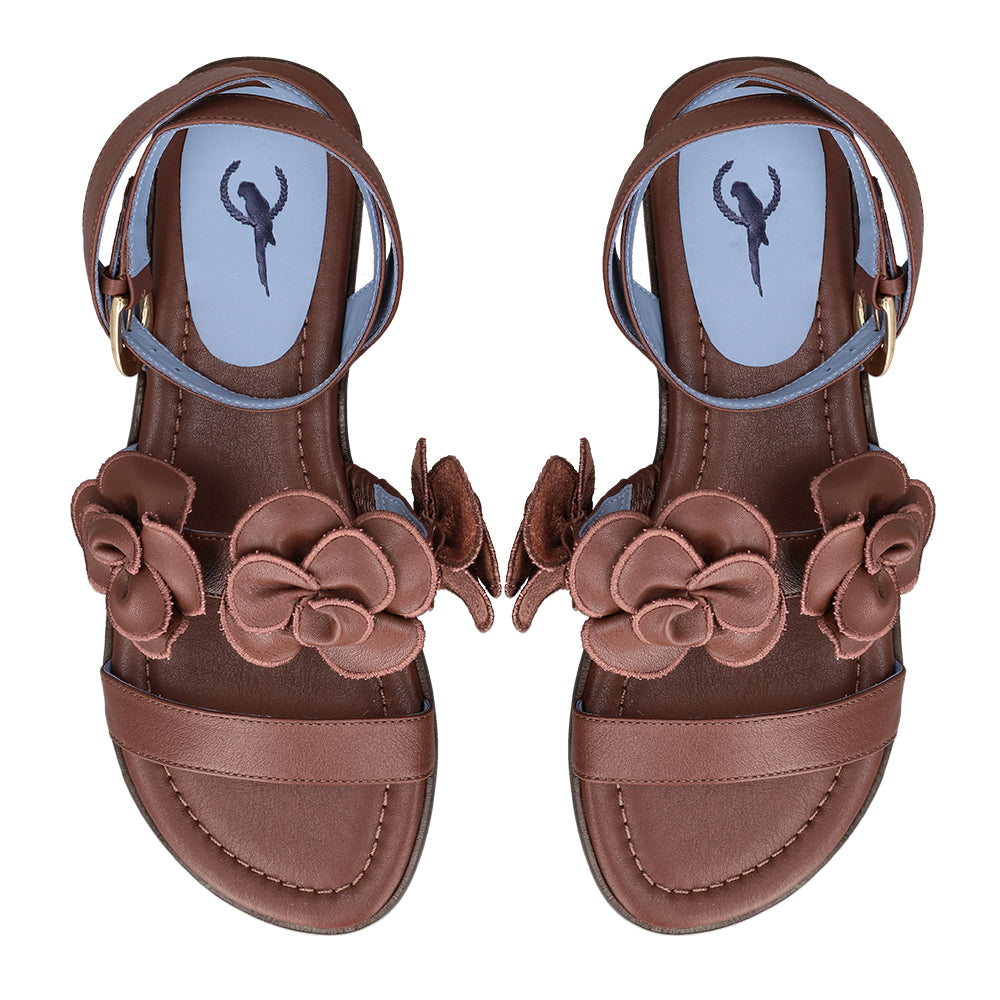 Blue Bird P0427_13_1_vista superior.jpg