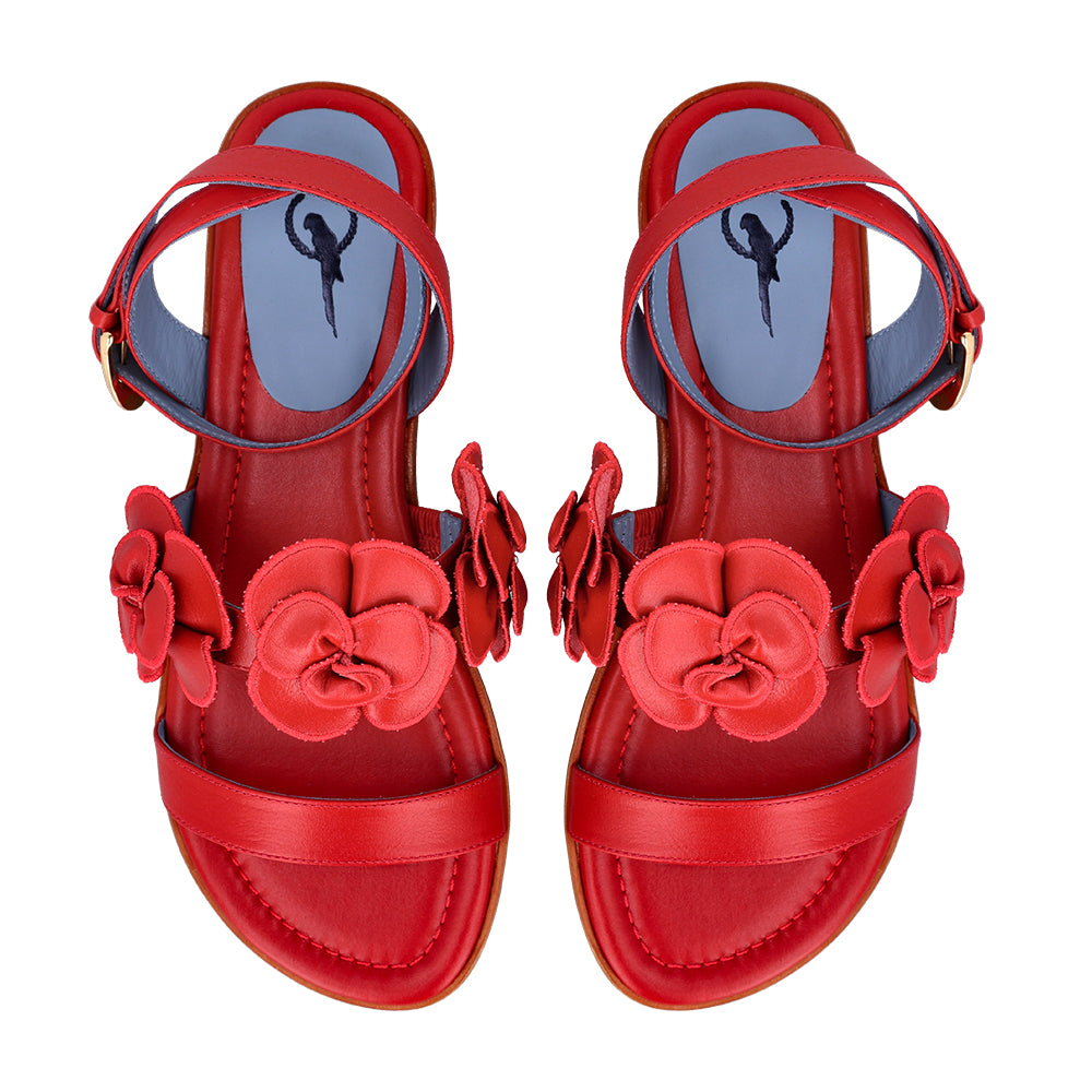 Blue Bird P0427_14_1_vista superior.jpg