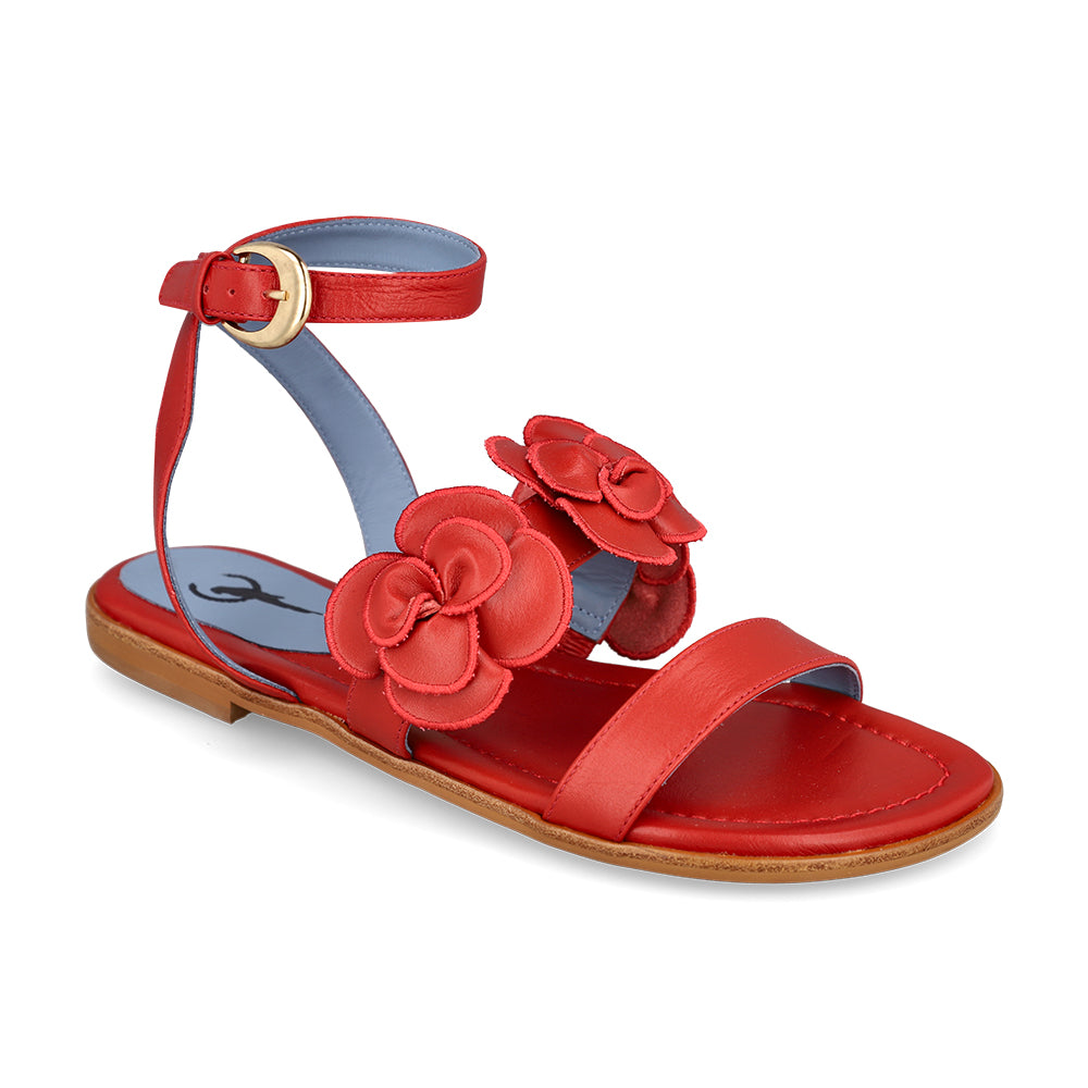 Blue Bird P0427_14_2_cr.jpg