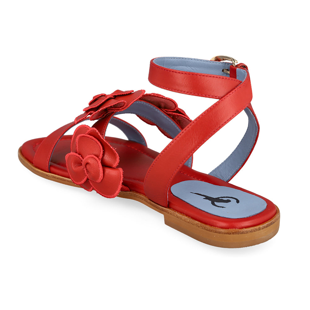 Blue Bird P0427_14_3_cr.jpg