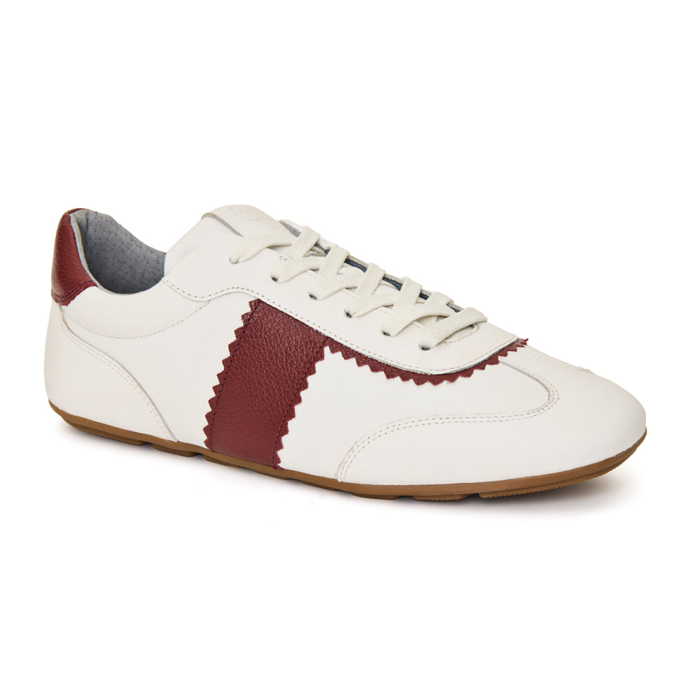 W262600105186 (1).jpg