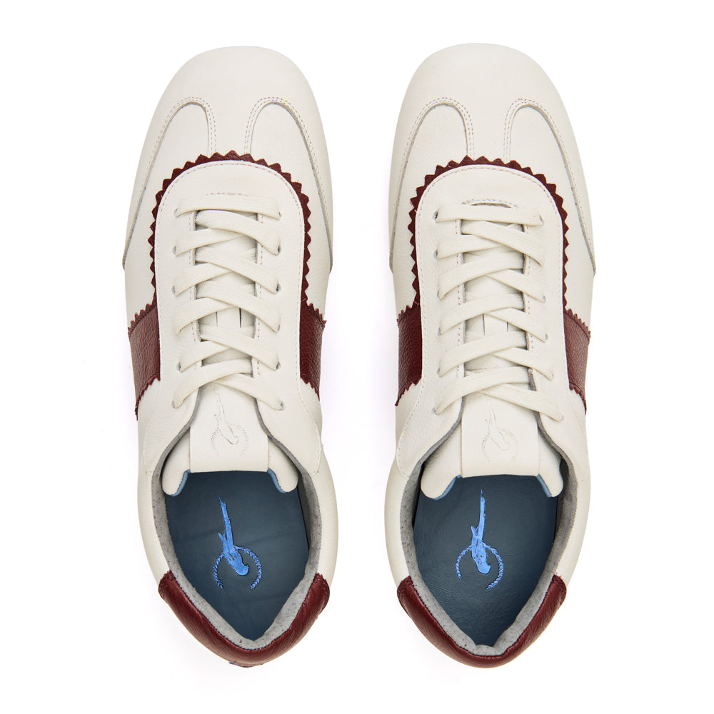 W262600105186 (4).jpg